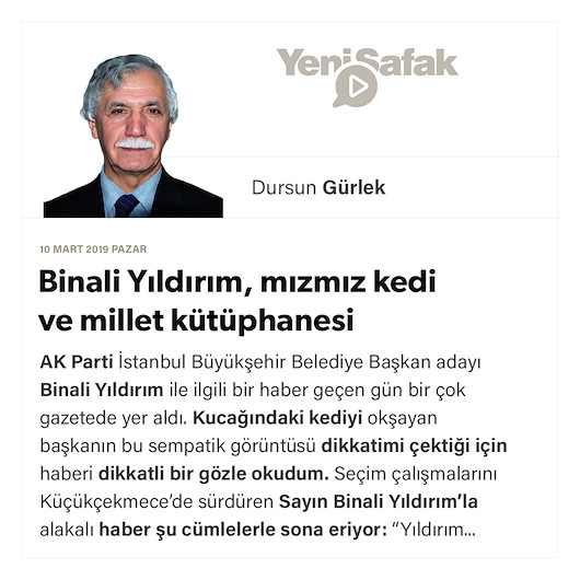 Binali Yıldırım, mızmız kedi ve millet kütüphanesi