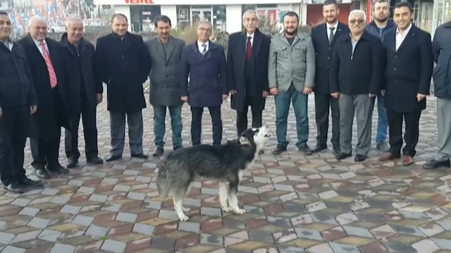 MHP seçim irtibat bürosu önünde uluyan kurt şaşırttı
