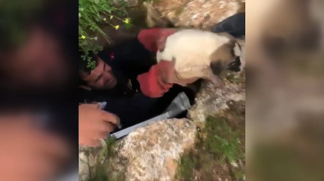Kuyuda mahsur kalan yavru köpeği itfaiye kurtardı