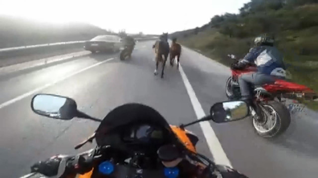 Yolda koşturan atları kovboy gibi kenara çeken motosikletliler