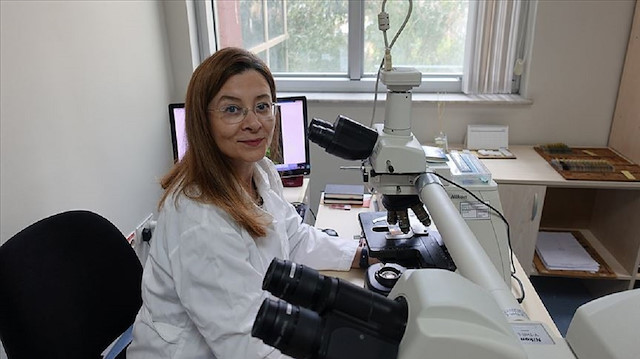 DEÜ Tıp Fakültesi Patoloji Ana Bilim Dalı Öğretim Üyesi Prof. Dr. Sülen Sarıoğlu