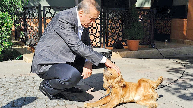 Recep Tayyip Erdoğan
