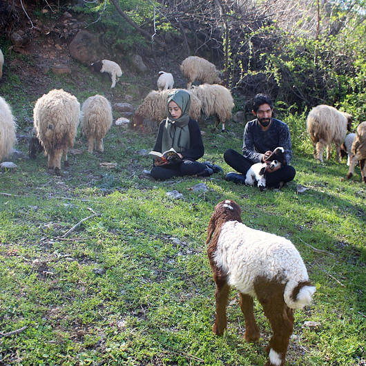 Genç Çiftçi projesiyle 20 koyun alan lise mezunu çift çobanlık yapıyor