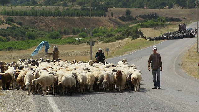 Foto/Arşiv