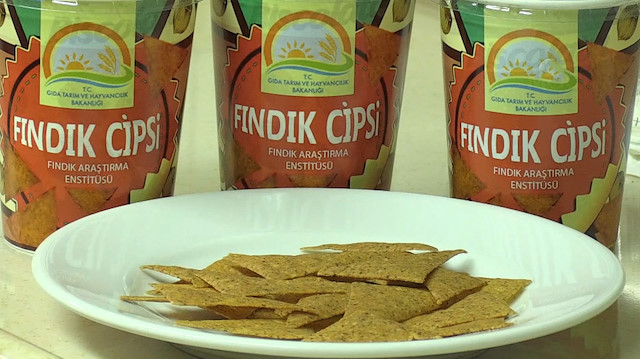 Fındığın cipsi üretildi