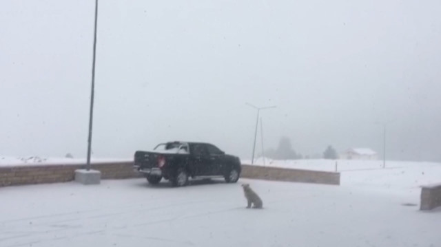 Uludağ'da kar yağışı sürerse pistler açılacak