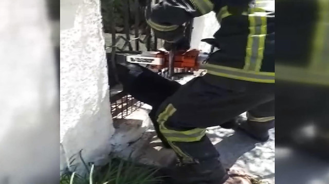 Bahçe kapısına sıkışan Zeytin'i itfaiye kurtardı