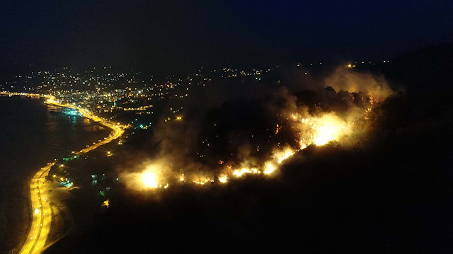 Giresunda orman yangını