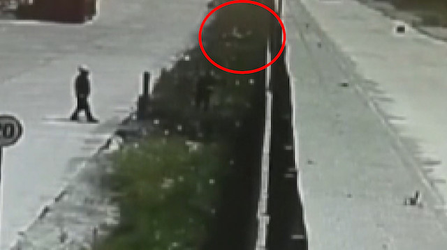 Yavru köpeği çitlerin üzerinden fırlatıp attı!