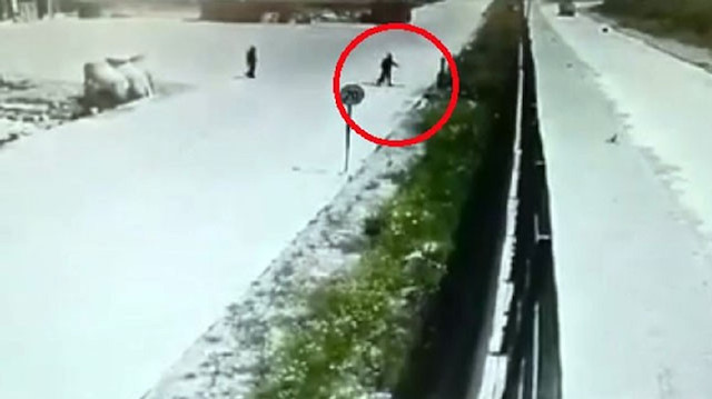 İşçilerin beslediği köpeği çitlerin üstünden kaldırıma böyle fırlattı