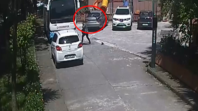 Kargaların saldırısına uğrayan kadın o anları anlattı