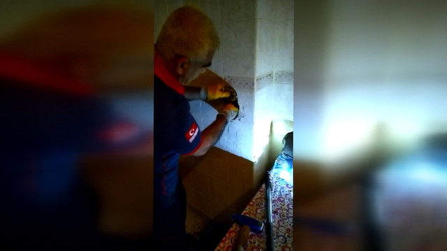 Bacada mahsur kalan kediyi itfaiye kurtardı