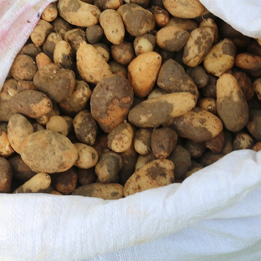 25 kilo topladılar 300 bin TL ceza yediler