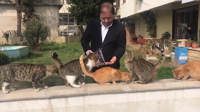 Sevin Başkan'ım ben çekeyim... CHP'li Kılıç'ın hayvan sevgisi şovu kamerada