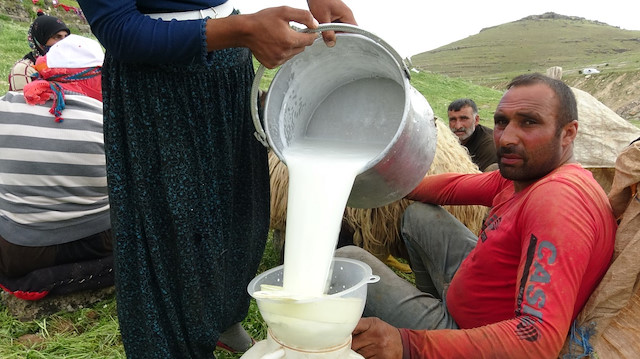Göçerlerin zorlu yayla yolculuğu sürüyor