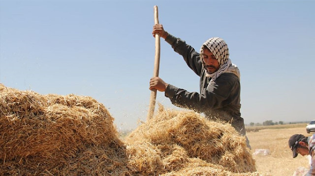 Saman işçileri