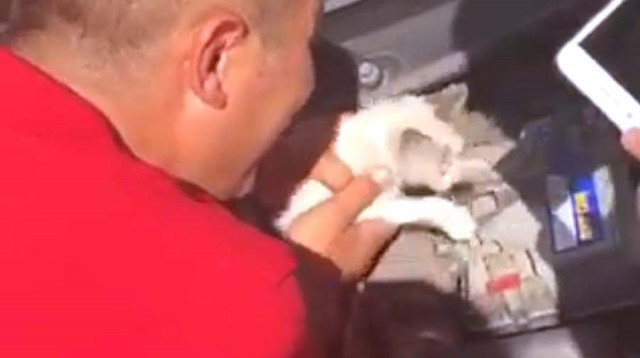 Otomobilin motoruna sıkışan kediyi itfaiye çıkardı