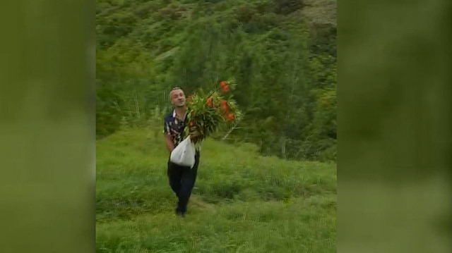 Koruma altındaki ters laleleri koparırken görüntülendiler