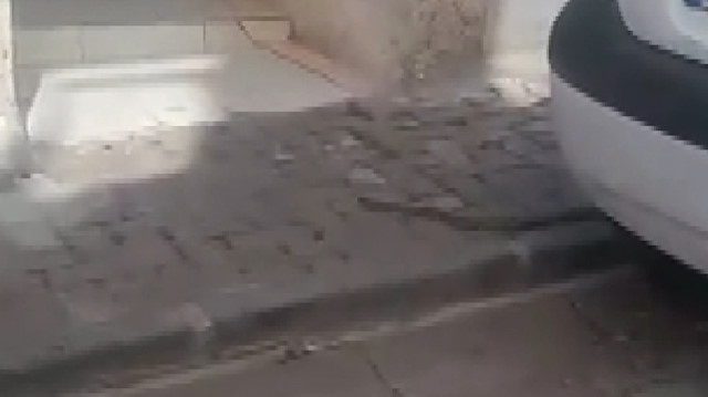 Vatandaştan yılana: Girme lan eve