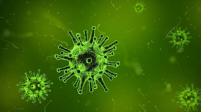 Araştırmacılar virüs üzerinde yaptıkları deneyde, söz konusu oyuğu geliştirdikleri bir bileşke ile sabitleyerek sıcak hücreyle temasında şekil değiştirmesini önlemeyi başardı.