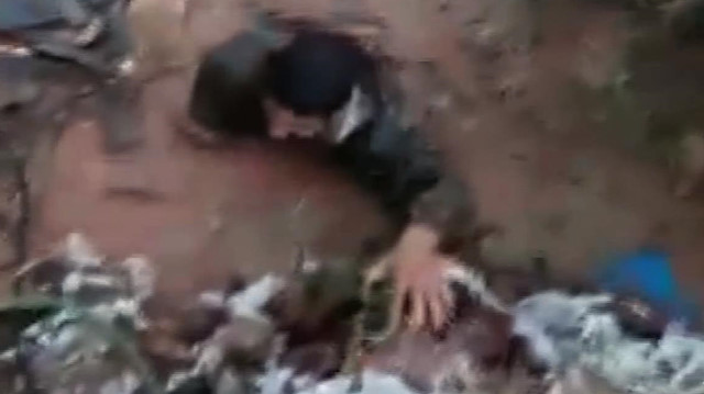 Selden kurtardığı yavru köpekler annelerine kavuştu