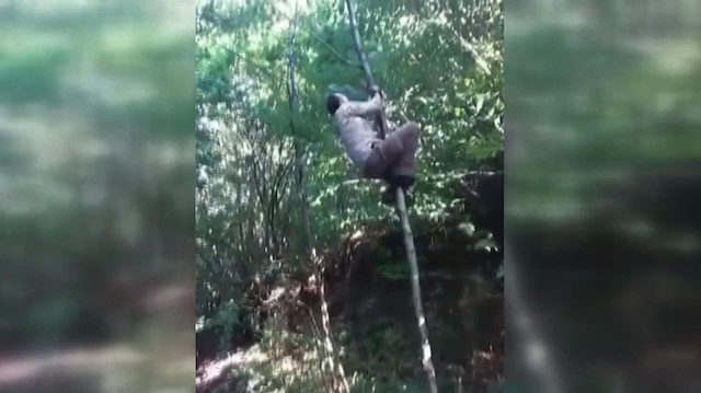 Arkadaşının tırmandığı ağaçtan düşmesini anbean kaydetti
