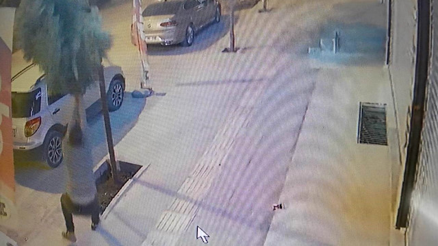 Kızıltepe'de ağacı kırma anı kamerada