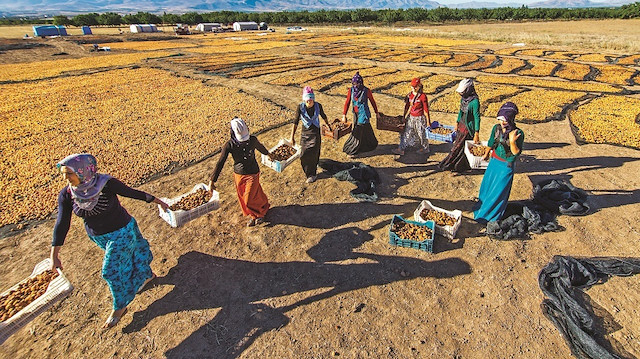 “Hayatın İçinde Kadın ‘19” yarışmasında birinci olan fotoğraf