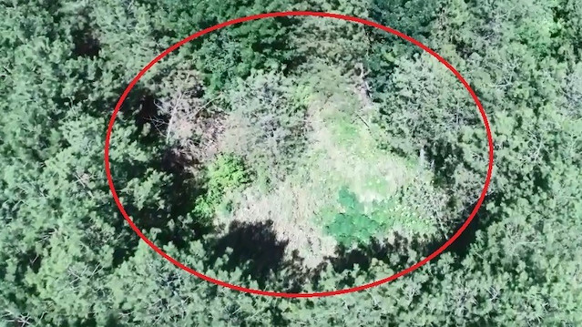 Drone ile tespit edildi: Jandarma operasyon yaptı