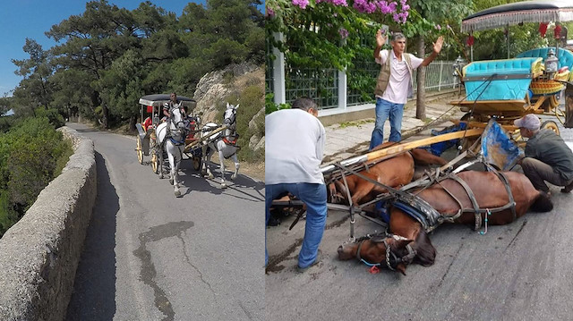 Adalar'da faytona koşulan atlar