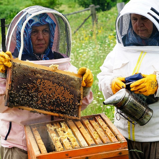 Bileziğini sattı, bir kovan arı aldı, şimdi paraya para demiyor