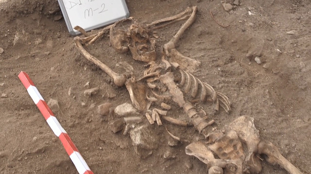Sinopta bulunan iskelet arkeologları şaşırttı