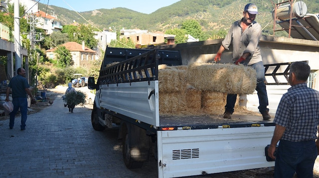 Saman fiyatları Egeli çiftçileri zor duruma düşürdü.