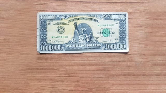 Uşak'ta 1 milyon dolarlık banknot ele geçirildi