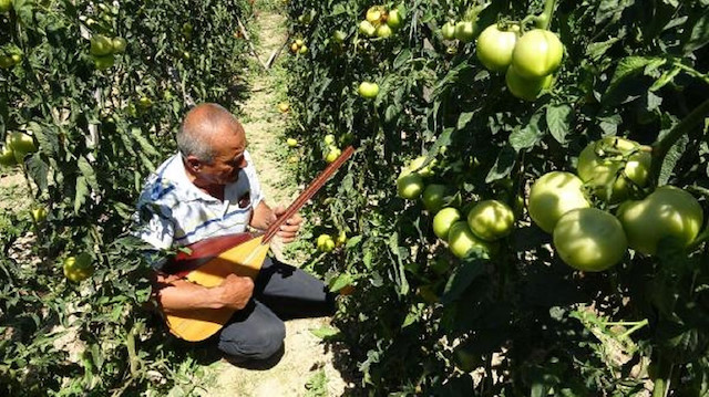 Sedat Karaca