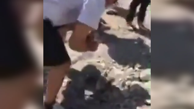 Kaz dağlarına dokunma eylemi yapan CHP ve HDPliler altın aramaya başladı