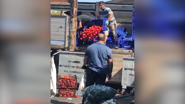 Domatesi ucuza satmamak için çöpe döktüler