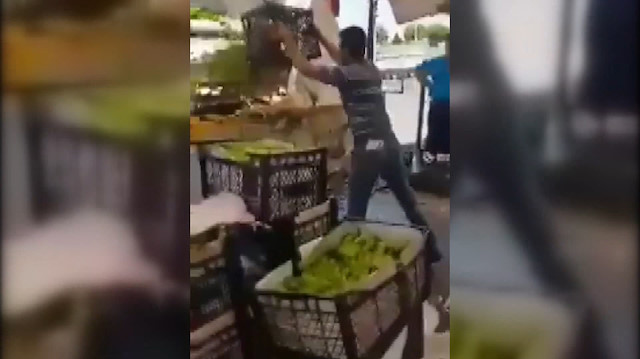 Kasa kasa biberleri çöpe döktüler