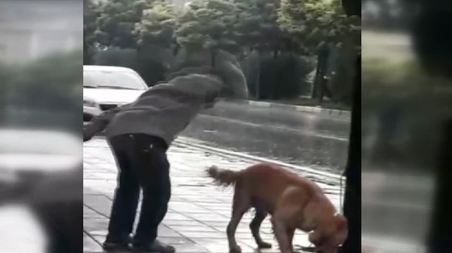 Sağanak yağmurda köpeği yumrukladı