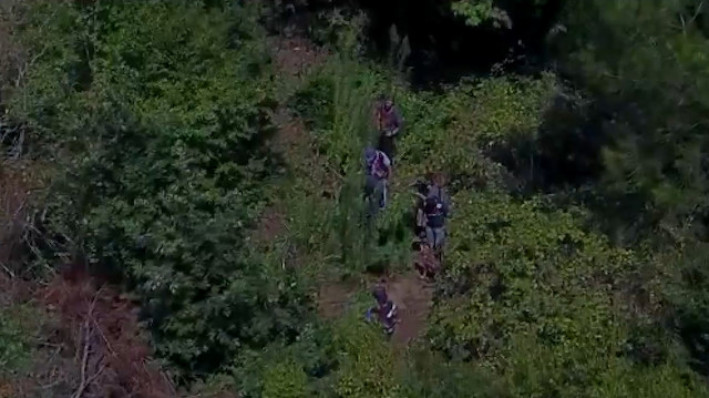 Ormandaki uyuşturucuyu drone ve foto kapanla buldular