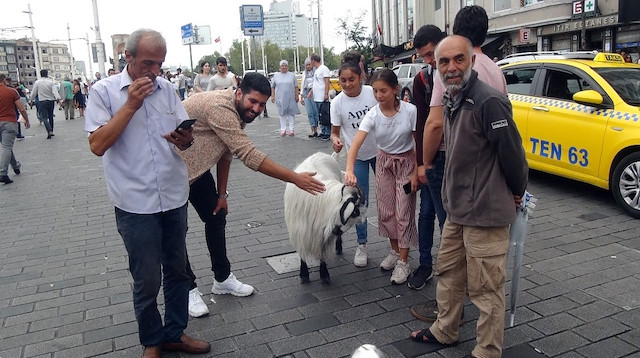 Taksim Meydanı'nda keçiyi gören çok sayıda vatandaş fotoğraf çektirdi.