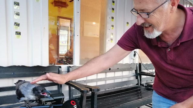 Durağın müdavimi karga ile taksi şoförlerinin dostluğu