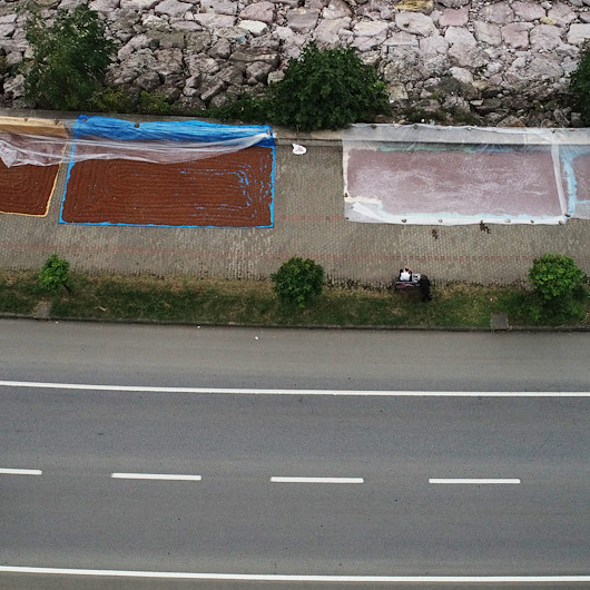 Karadenizli fındık üreticileri kurutma mesaisinde