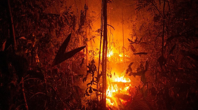 Amazonlar'da yangın yoğunluğu rekor düzeye ulaştı