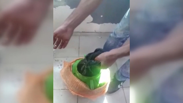 Diyarbakırda pekmez bidonuna gizlenmiş esrar ele geçirildi