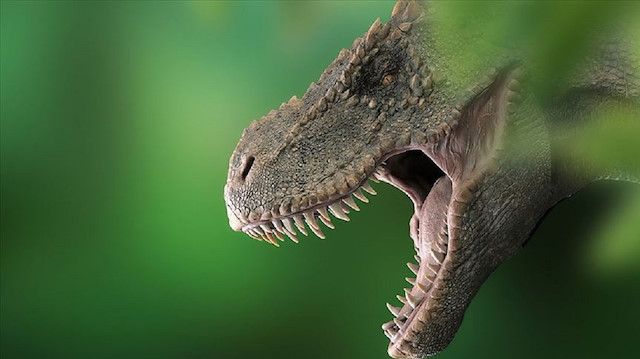 Tyrannosaurus rex