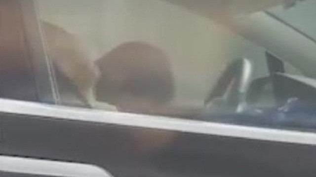 Tesla sürücüsü arabada böyle uyudu