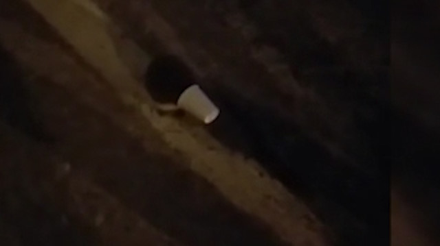 Kafasına plastik sıkışan kirpiyi bekçiler kurtardı