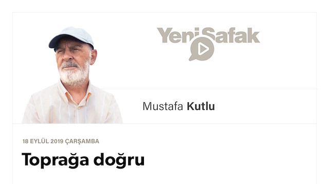 Toprağa doğru