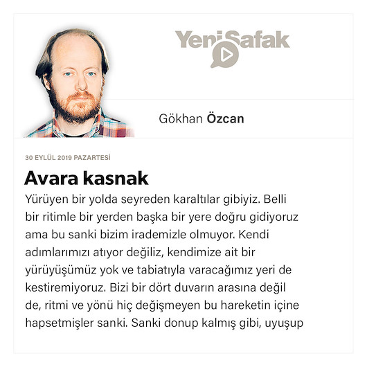 Avara kasnak